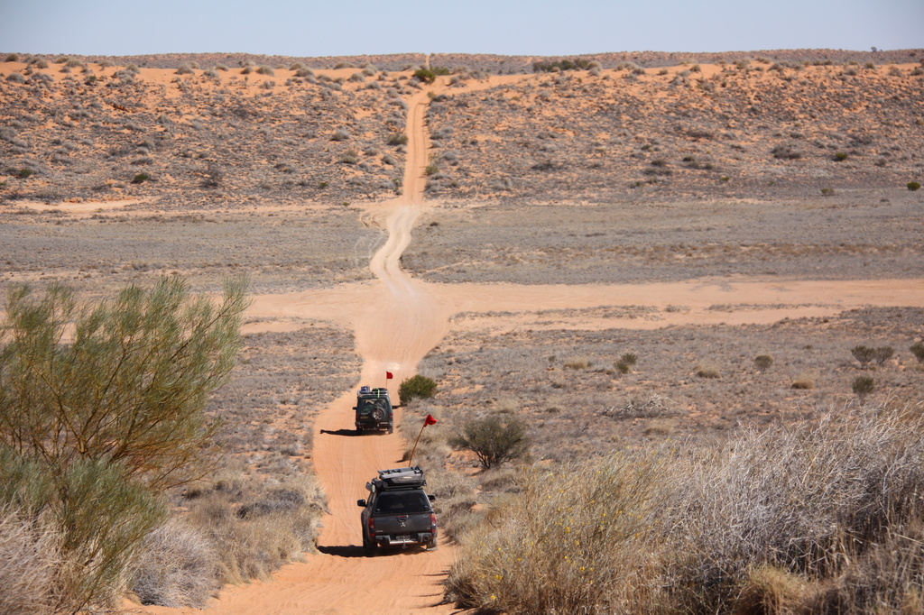 Crossing the desert by marguerita