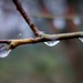 Frozen droplets by mattjcuk