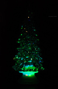12th Dec 2013 - Christmas tree