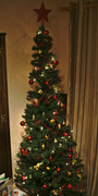 10th Dec 2013 - Christmas tree
