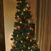 Christmas tree by darkhorse