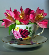 12th Dec 2013 - Floral Tea