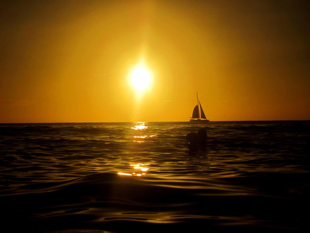 Sunset Swim by pdulis