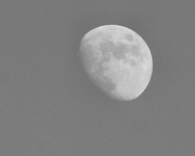 12th Dec 2013 - Afternoon moon