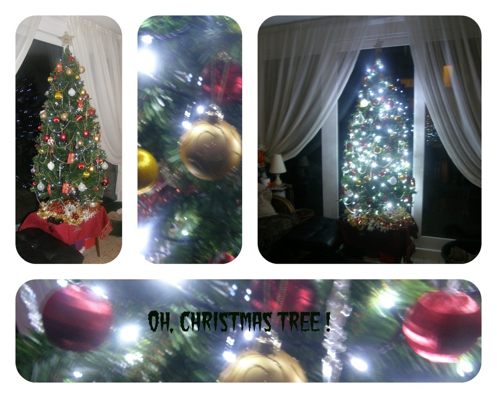  Oh, Christmas Tree  ! by beryl