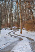 13th Dec 2013 - The Path to the Cabin