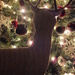 Reindeer Night by linnypinny