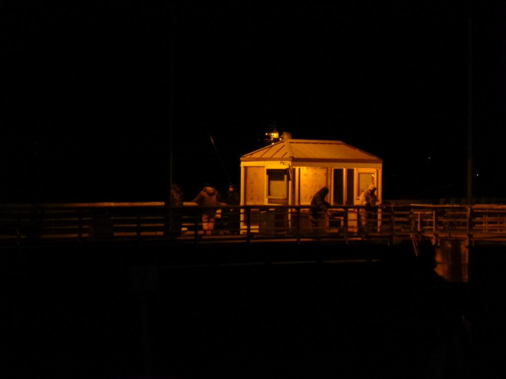 Late Night Fishermen by stephomy