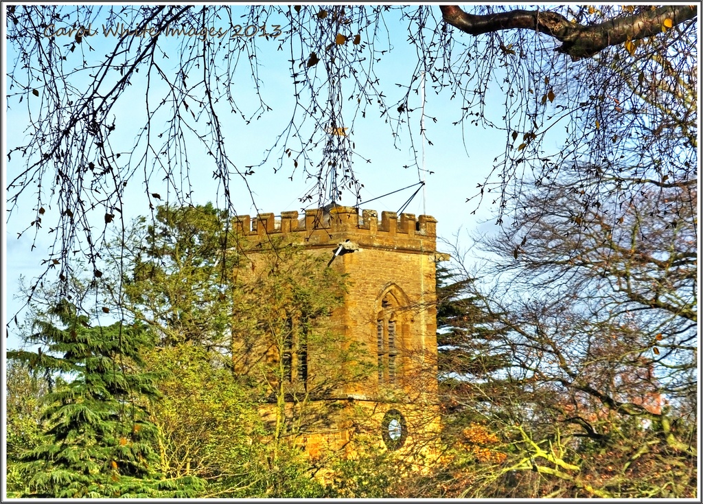 Church Tower by carolmw