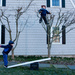 Hanging our Christmas Lights by egad