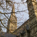 Salisbury Cathedral by lellie