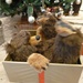 A bear in a box by lellie