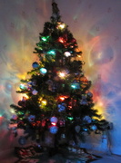 14th Dec 2013 - Christmas tree