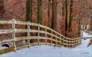 14th Dec 2013 - Snowy Fence