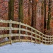 Snowy Fence by sbolden