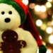 Obligatory Holiday Bear With Gingerbread Man Pet and Christmas Tree Bokeh by juliedduncan