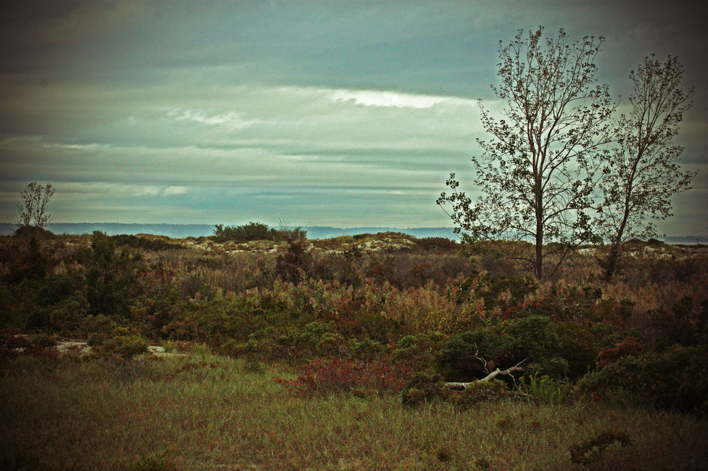 September at Fisherman's Beach by mzzhope