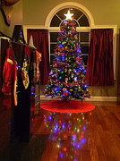 14th Dec 2013 - Oh, Christmas tree......
