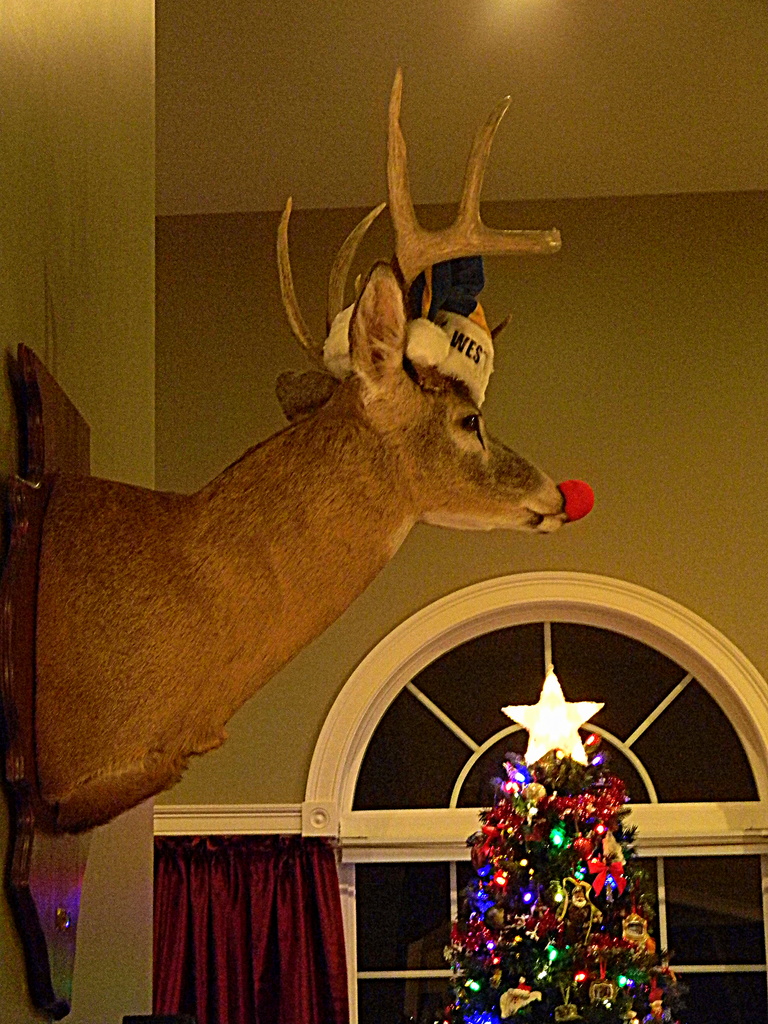 Rudolph! by homeschoolmom