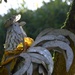 metal rooster by parisouailleurs
