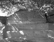 15th Dec 2013 - Mrs Macquarie's Chair