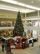 14th Dec 2013 - Christmas at the mall