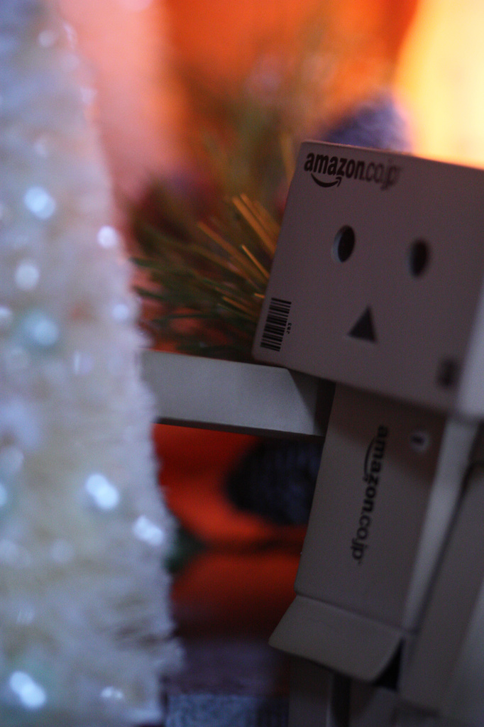 Danbo picks the perfect tree by mzzhope