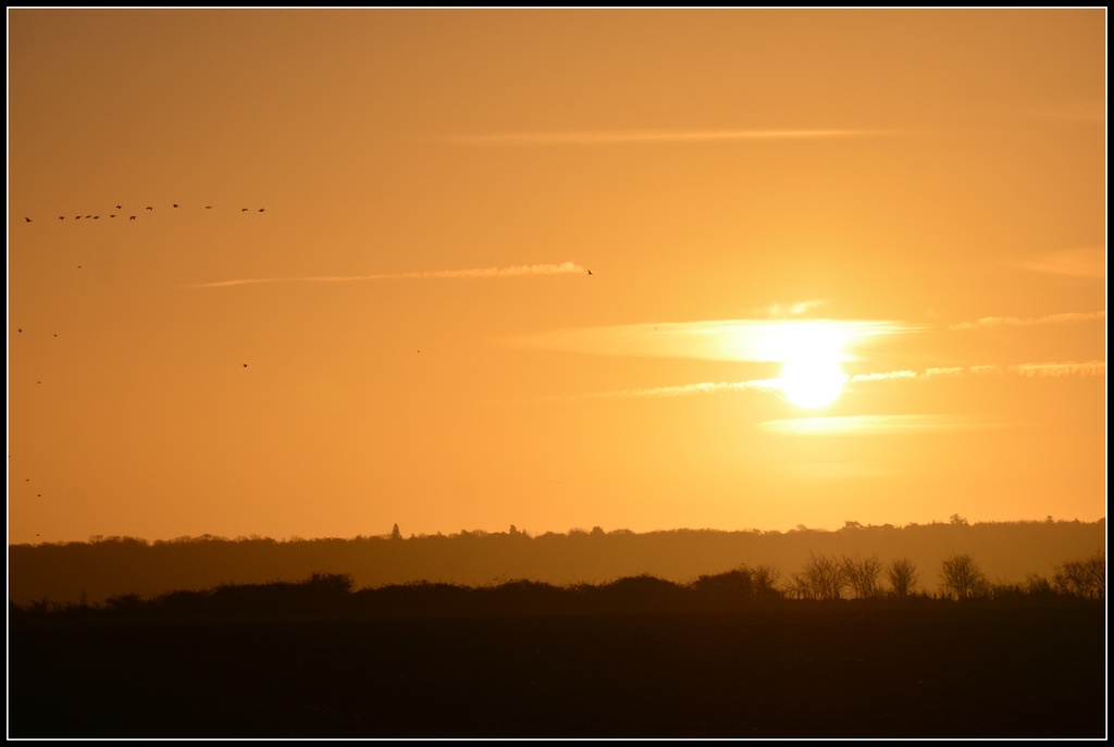 Sunrise across the marshes by rosiekind