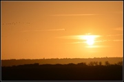15th Dec 2013 - Sunrise across the marshes