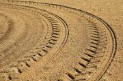 14th Dec 2013 - Tyre tracks