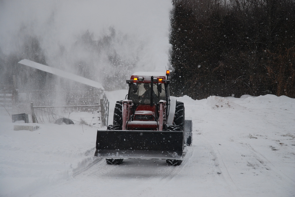 Snow! by farmreporter