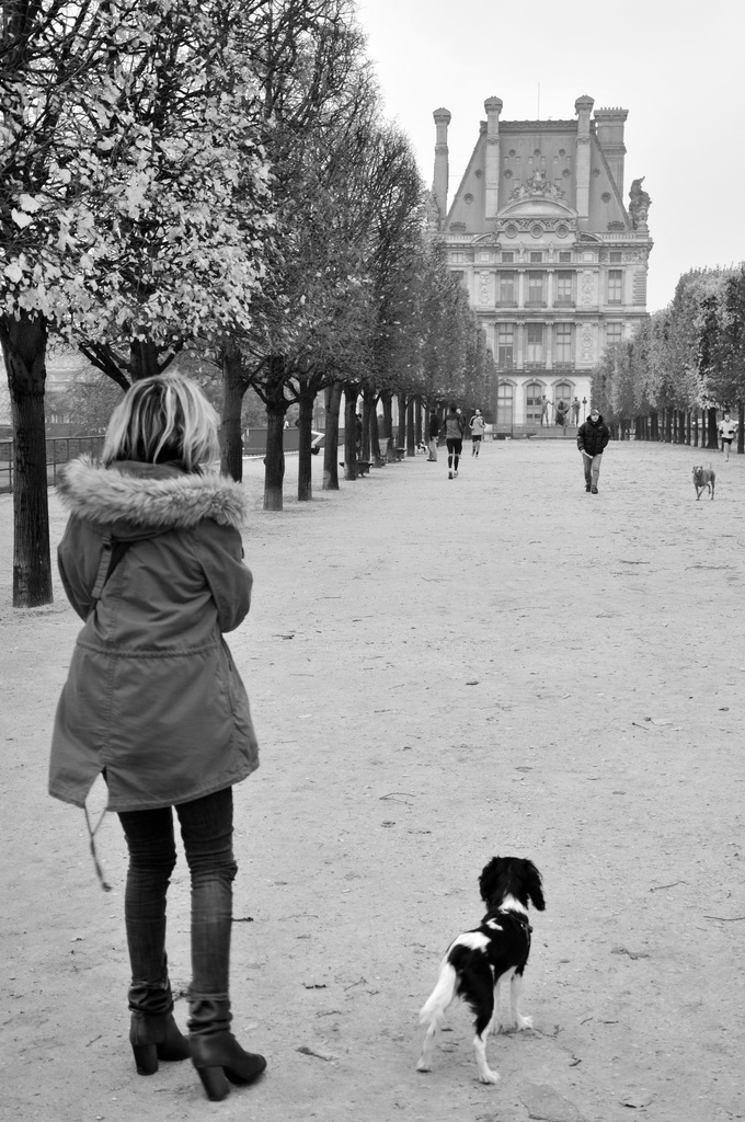 Paris ~ 38 by seanoneill