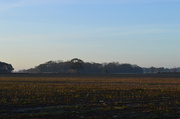17th Dec 2013 - Landscape