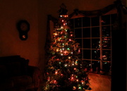 15th Dec 2013 - Christmas Tree 2013