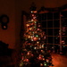 Christmas Tree 2013 by jankoos