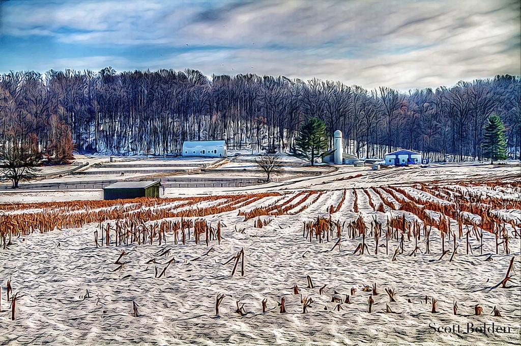 Frozen Landscape by sbolden