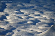 16th Dec 2013 - Snow Patterns #2
