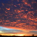 Roaring Kansas Sunset by kareenking