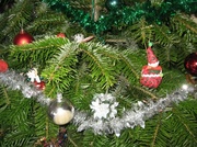 16th Dec 2013 - Our Christmas tree