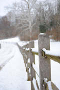 17th Dec 2013 - Frozen Fences