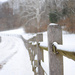 Frozen Fences by alophoto