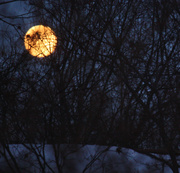 17th Dec 2013 - Winter Moon Rise