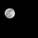 Moon Tonight. by rayas