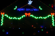 16th Dec 2013 - Christmas lights