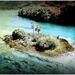 Deserted Island by maggiemae