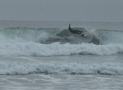16th Dec 2013 - Long Beach Surfing