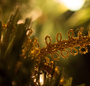 17th Dec 2013 - Gold ribbon