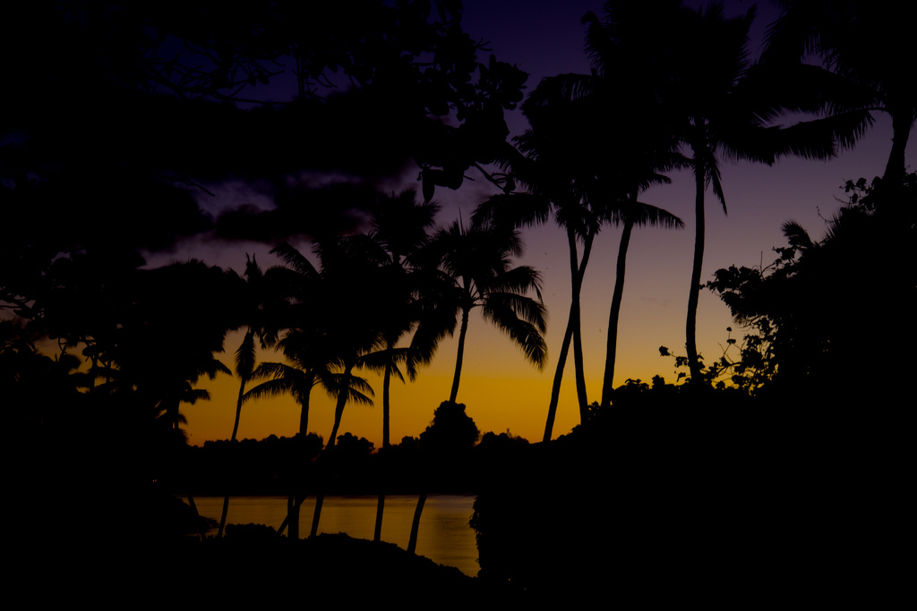 Sunrise on Oahu by taffy