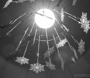 17th Dec 2013 - christmas snowflakes