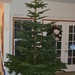 Christmas Tree - V by byrdlip